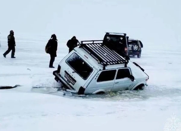 Уважаемые жители Шелеховского района!