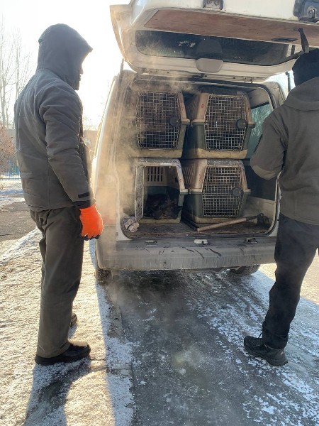 На контроле